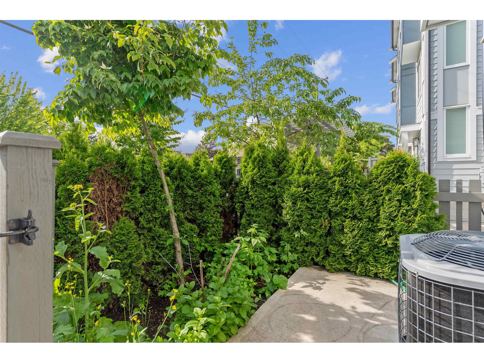 4 7050 188 Street, Surrey, British Columbia  V4N 3G6 - Photo 17 - R3008164