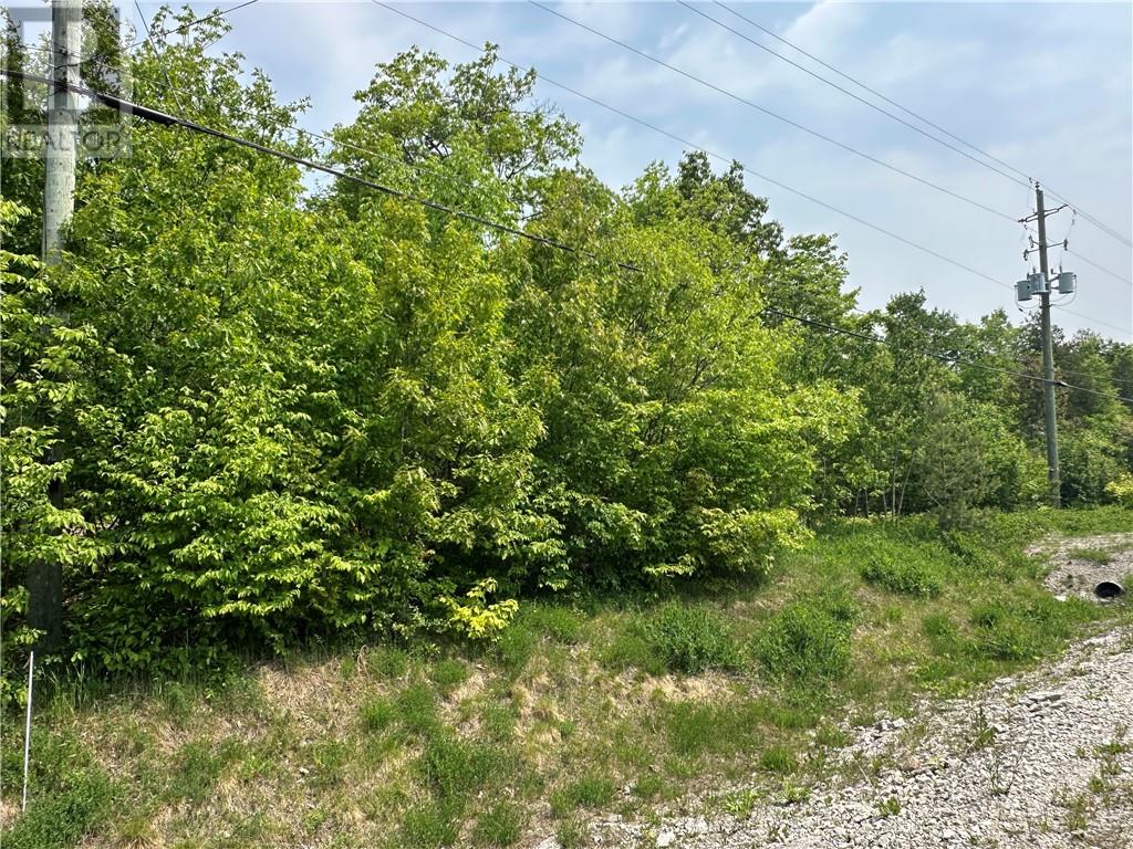 N/a Highway 542, Mindemoya, Ontario  P0P 1S0 - Photo 10 - 2122819