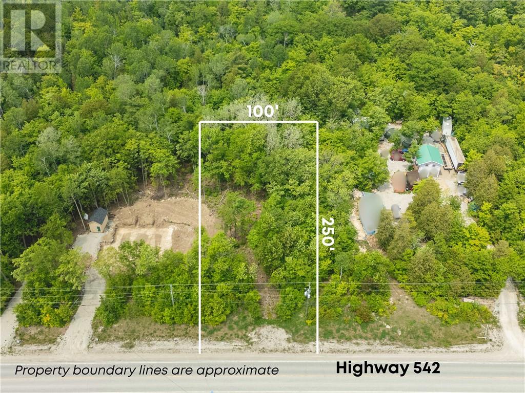 N/a Highway 542, Mindemoya, Ontario  P0P 1S0 - Photo 3 - 2122819