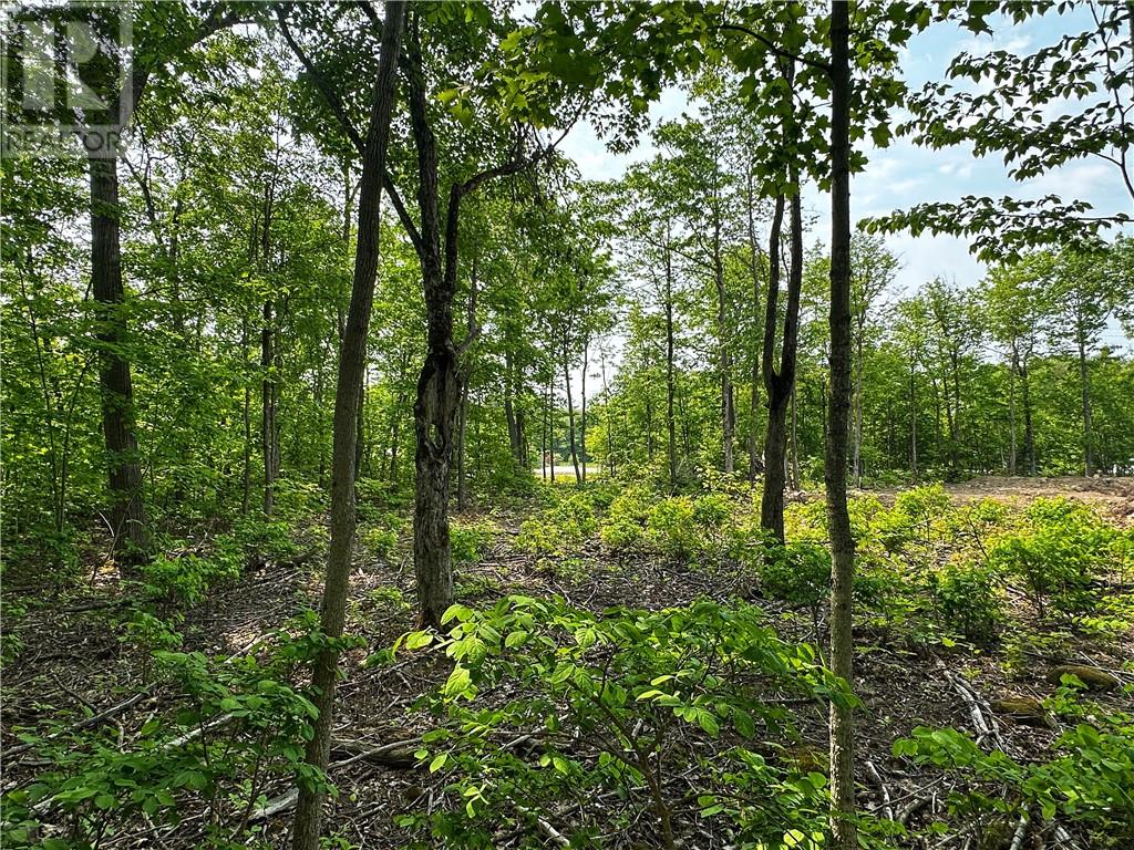 N/a Highway 542, Mindemoya, Ontario  P0P 1S0 - Photo 4 - 2122819
