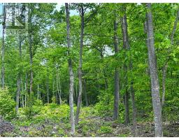 N/A Highway 542, Mindemoya, Ontario