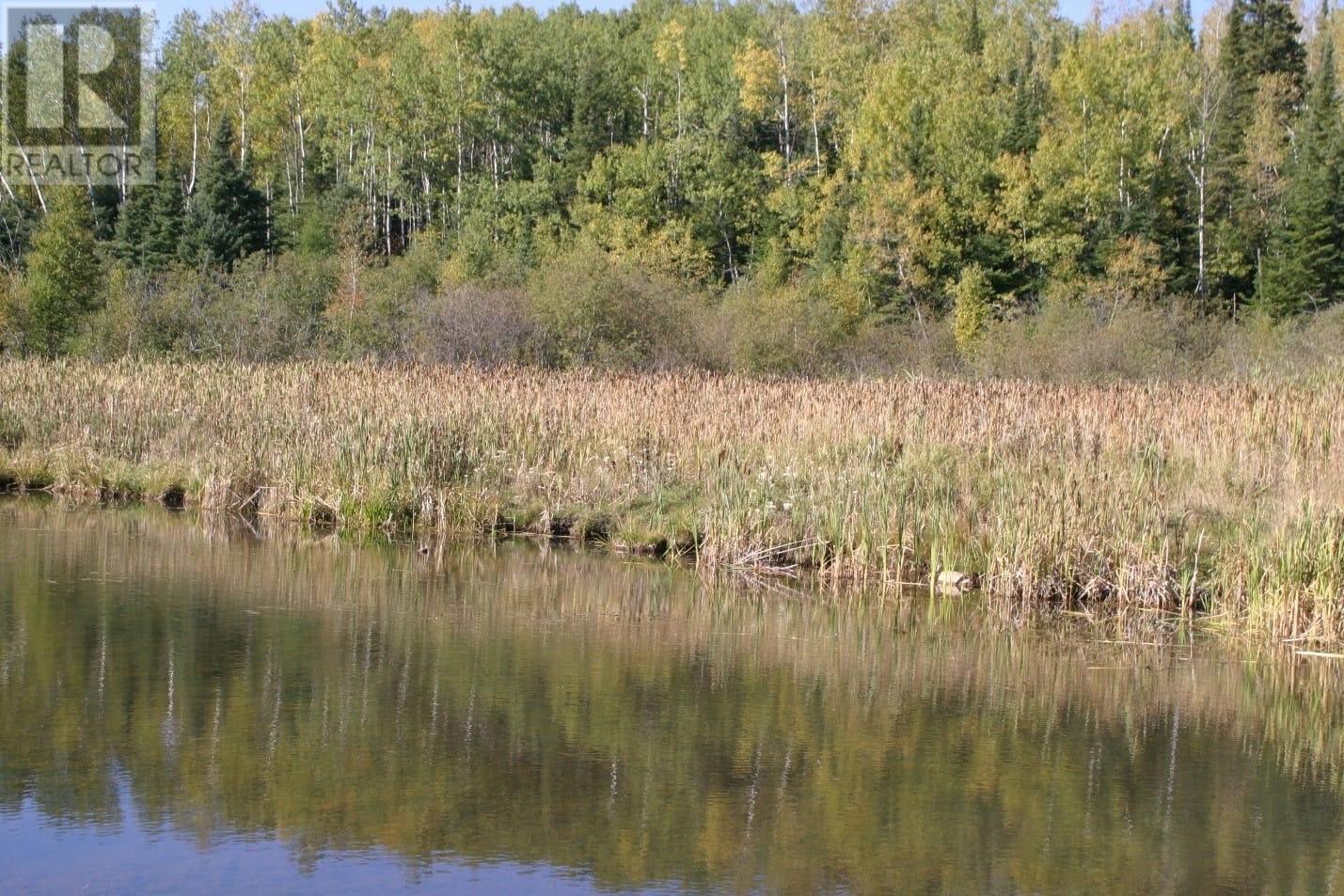 Lt 7 Con 8 Oliver, Thunder Bay, Ontario  P0T 2G0 - Photo 4 - TB251547
