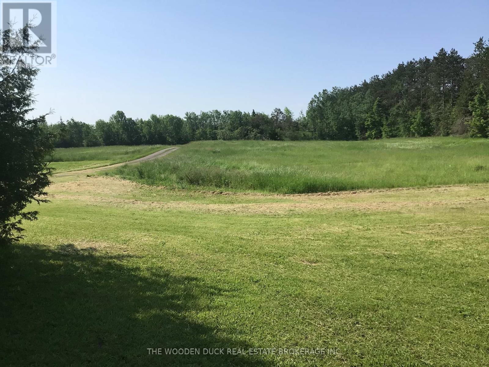 172 Dewey Road, Havelock-Belmont-Methuen, Ontario  K0L 1Z0 - Photo 4 - X12153807