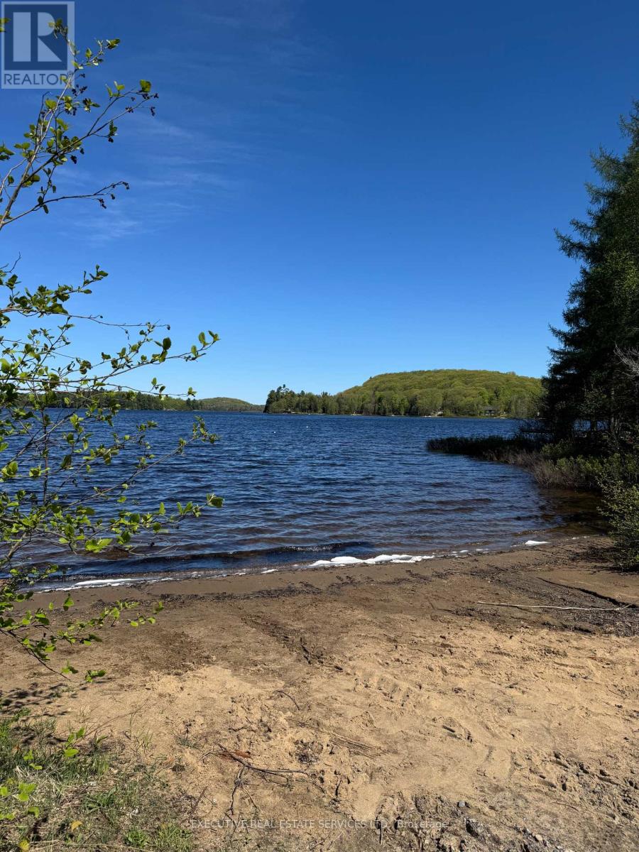1438 Echo Lake Road, Lake Of Bays, Ontario  P0B 1A0 - Photo 9 - X12211936