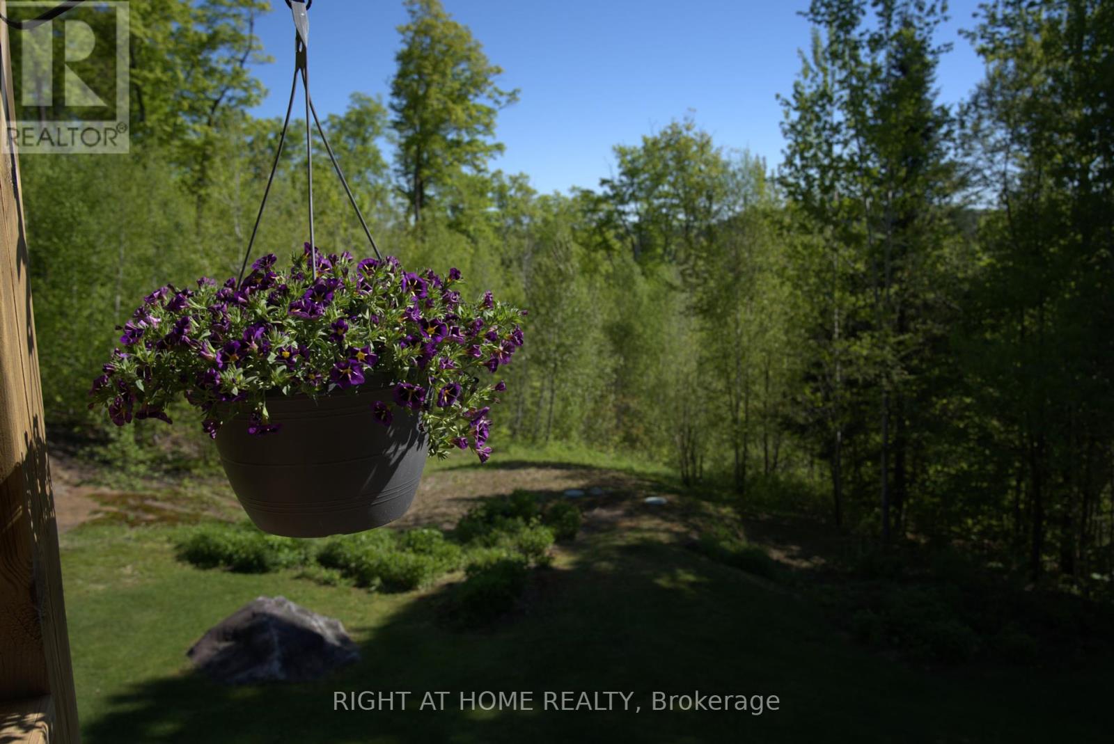 1181 Grace River Road, Dysart Et Al, Ontario  K0L 3C0 - Photo 30 - X12166335