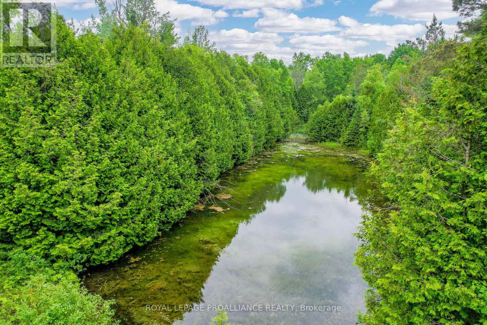 166 Dingman Road, Cramahe, Ontario  K0K 1M0 - Photo 48 - X12207920