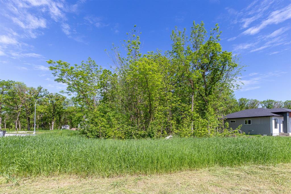 62 Seine River Crossing, Ste Anne, Manitoba  R5H 0A7 - Photo 0 - 202514718