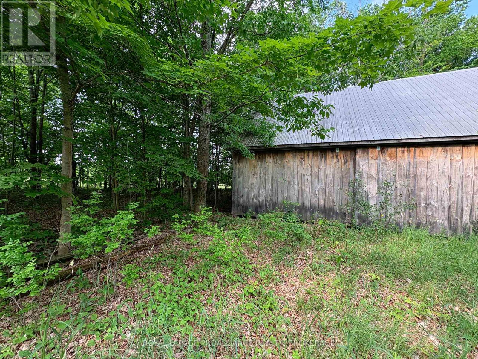 Lot 3 Jamieson Road, Frontenac (Frontenac South), Ontario  K0H 1V0 - Photo 10 - X12212497