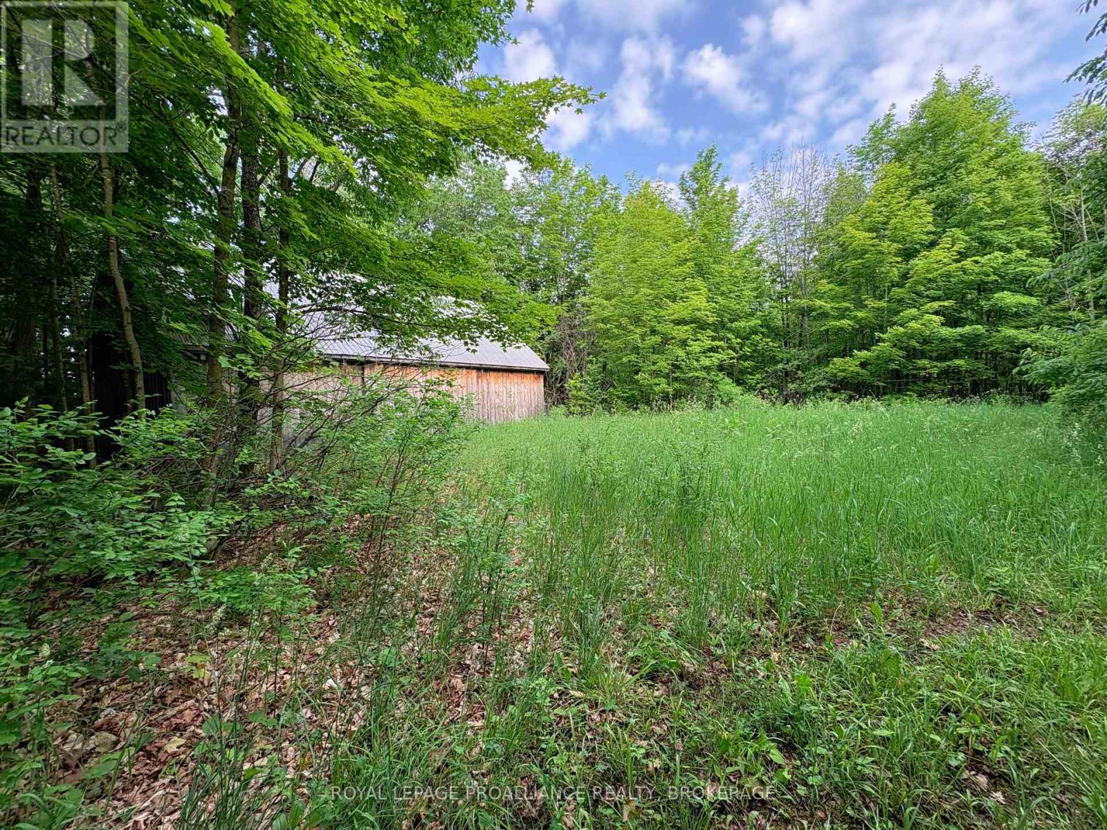 Lot 3 Jamieson Road, Frontenac (Frontenac South), Ontario  K0H 1V0 - Photo 12 - X12212497