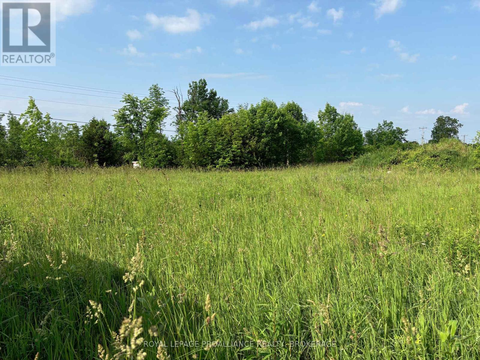 Lot 3 Jamieson Road, Frontenac (Frontenac South), Ontario  K0H 1V0 - Photo 16 - X12212497