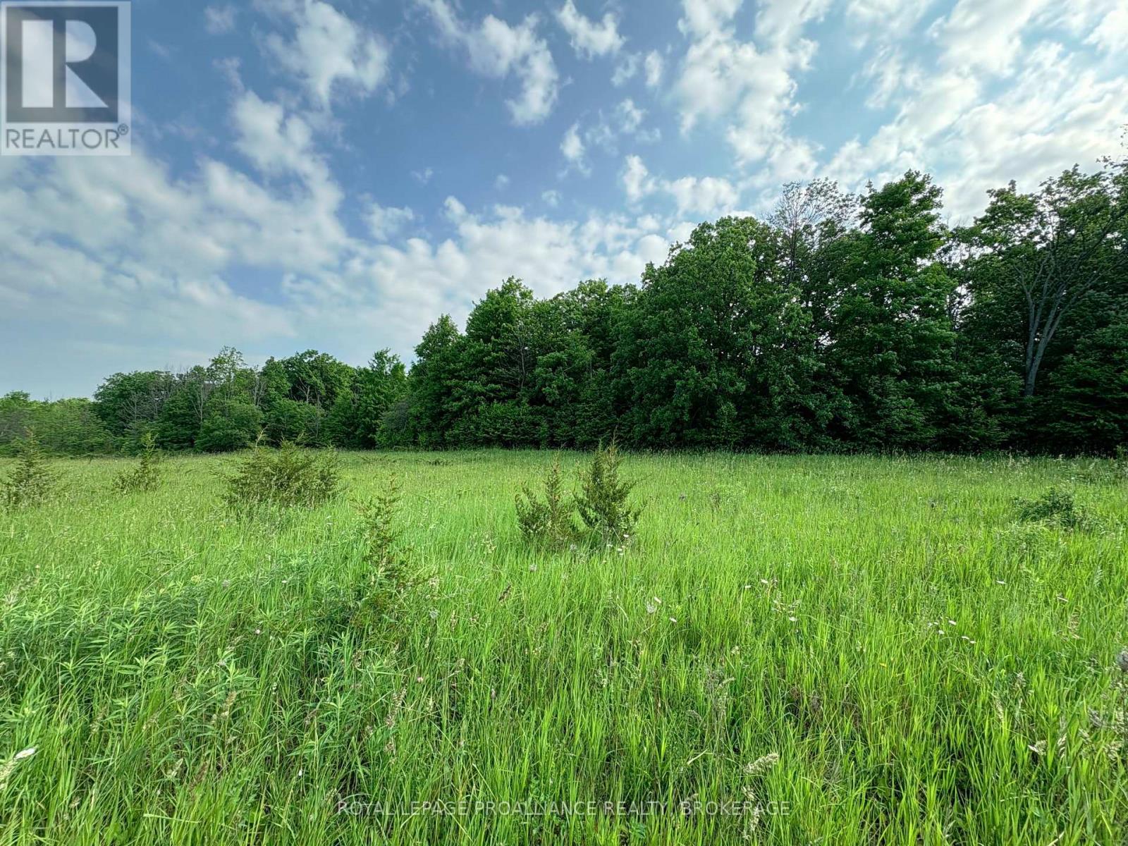 Lot 3 Jamieson Road, Frontenac (Frontenac South), Ontario  K0H 1V0 - Photo 17 - X12212497