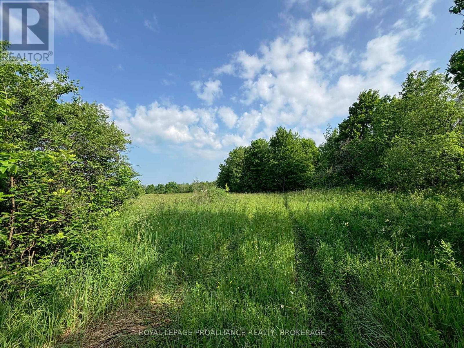 Lot 3 Jamieson Road, Frontenac (Frontenac South), Ontario  K0H 1V0 - Photo 21 - X12212497