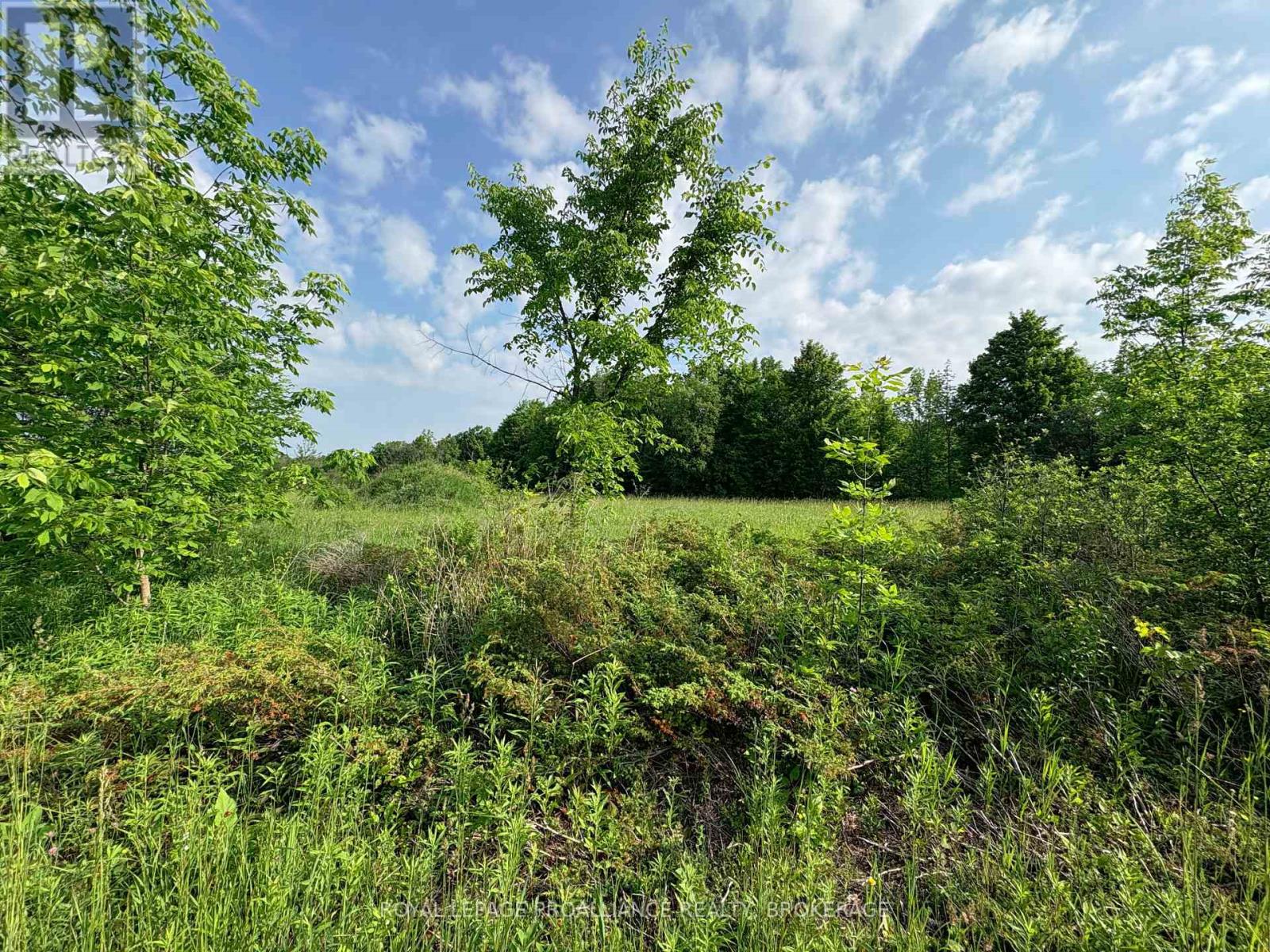 Lot 3 Jamieson Road, Frontenac (Frontenac South), Ontario  K0H 1V0 - Photo 23 - X12212497