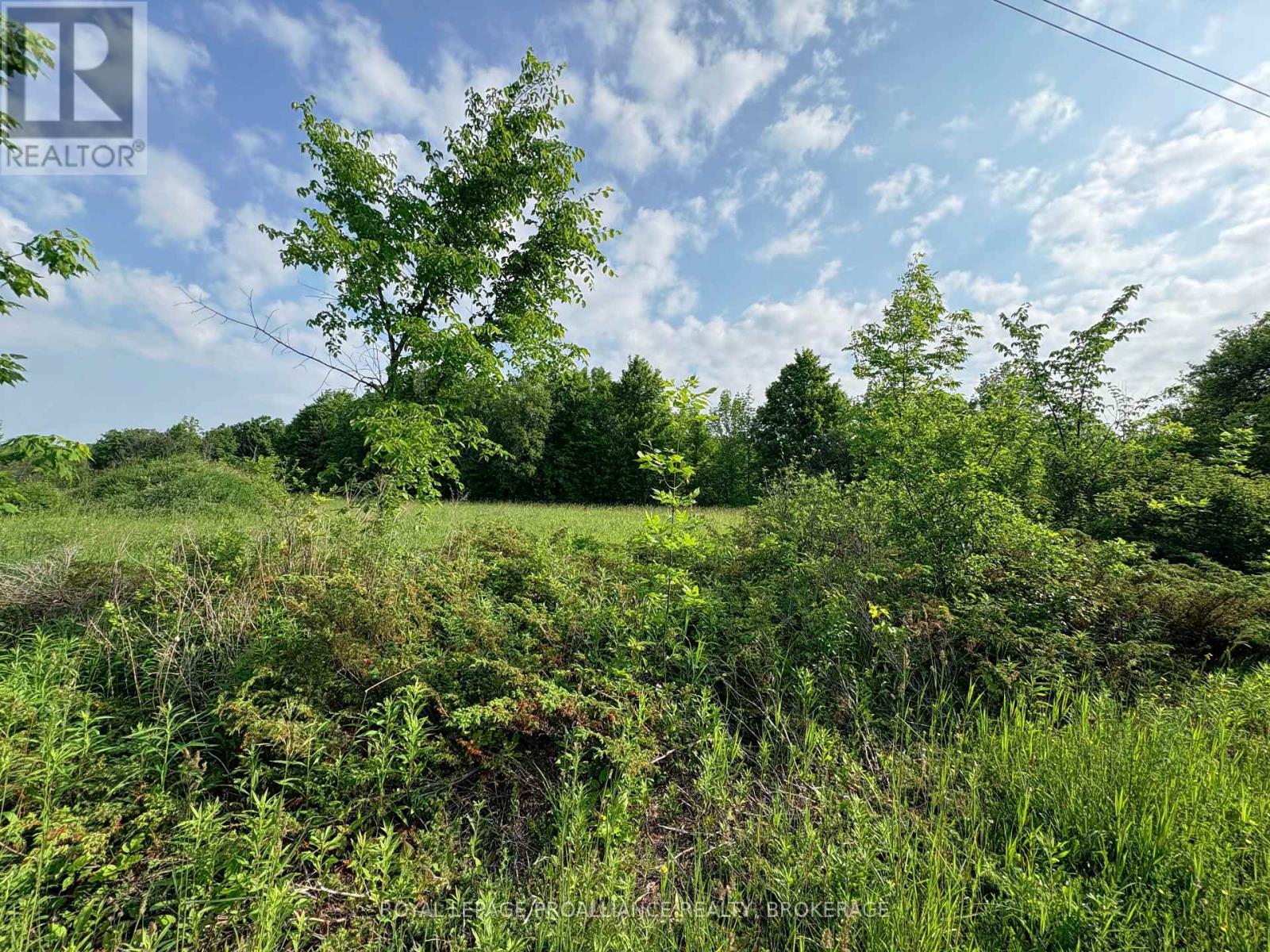 Lot 3 Jamieson Road, Frontenac (Frontenac South), Ontario  K0H 1V0 - Photo 24 - X12212497