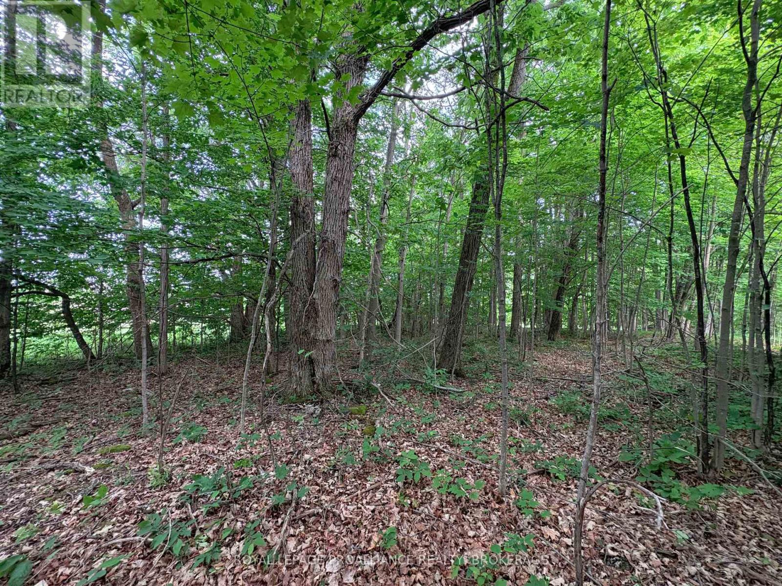 Lot 3 Jamieson Road, Frontenac (Frontenac South), Ontario  K0H 1V0 - Photo 4 - X12212497