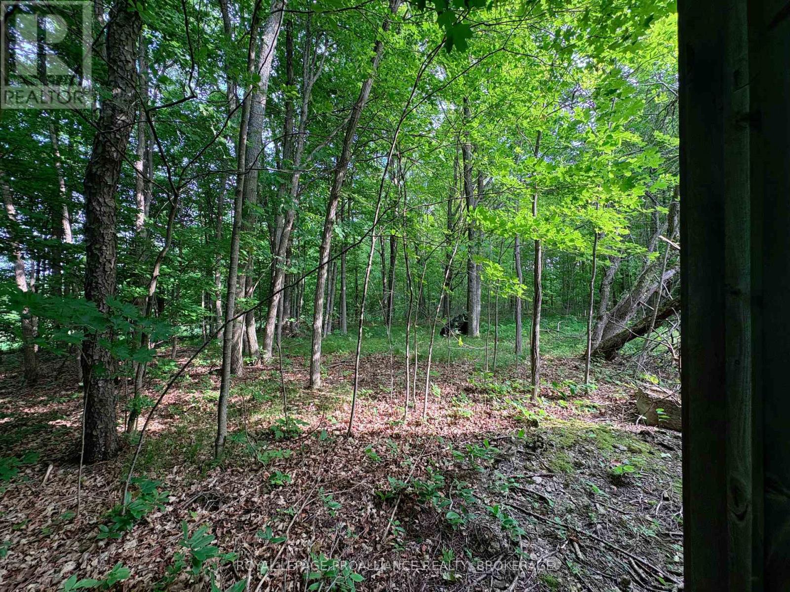 Lot 3 Jamieson Road, Frontenac (Frontenac South), Ontario  K0H 1V0 - Photo 5 - X12212497
