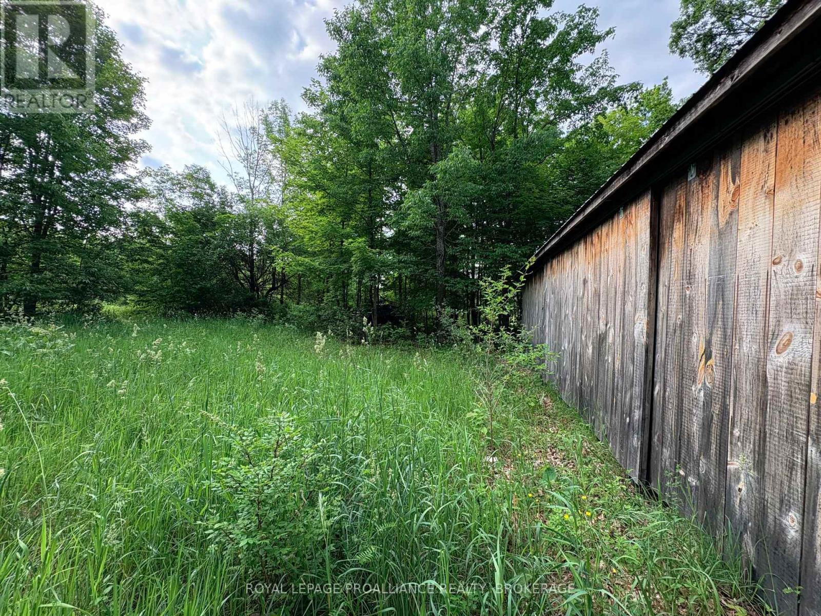 Lot 3 Jamieson Road, Frontenac (Frontenac South), Ontario  K0H 1V0 - Photo 9 - X12212497