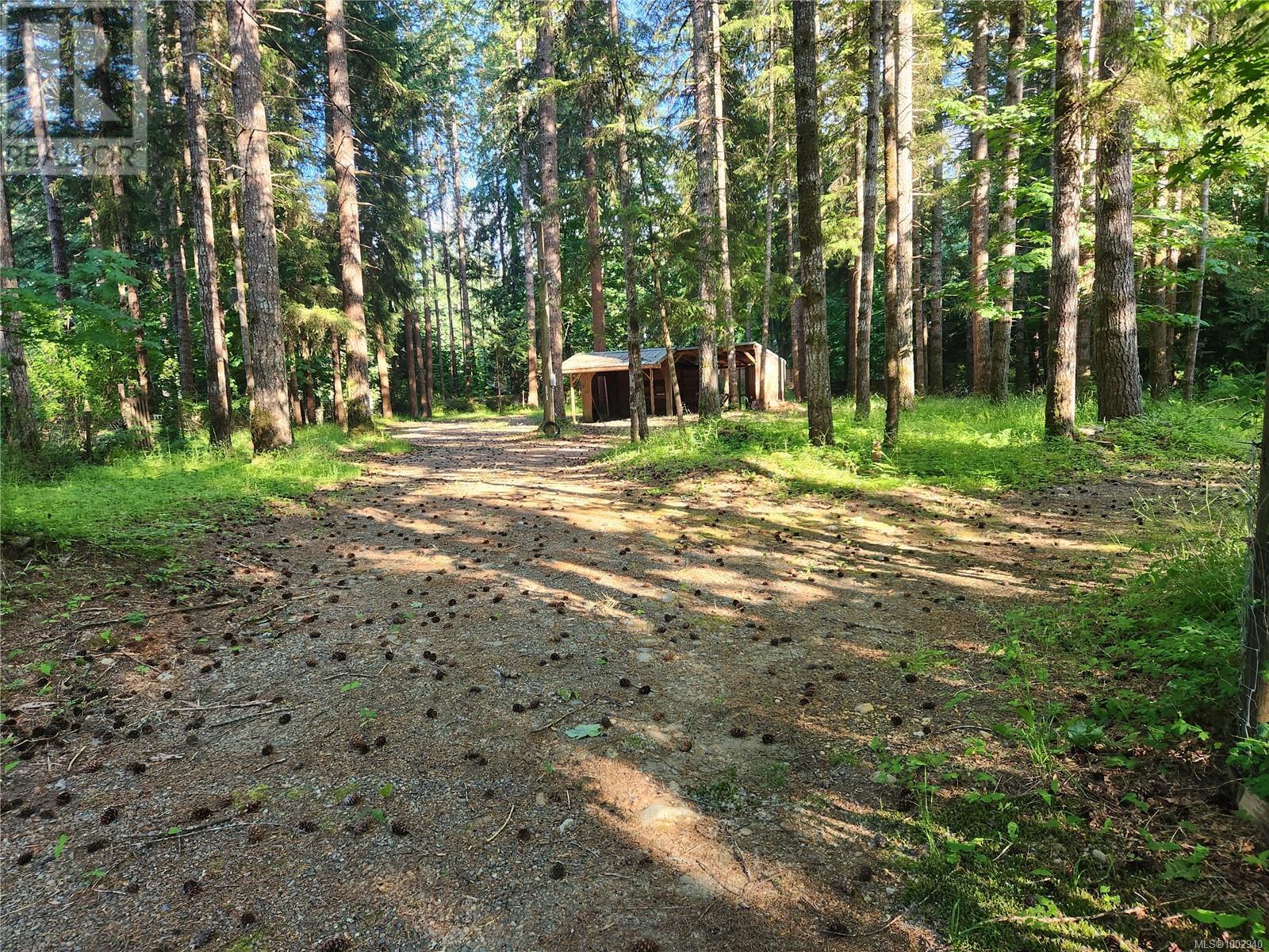 3835 James Cres, Black Creek, British Columbia  V9J 1G1 - Photo 50 - 1002940