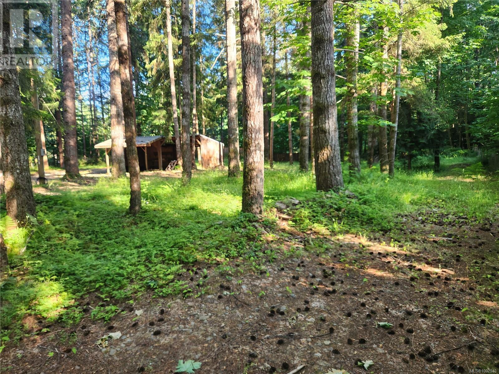 3835 James Cres, Black Creek, British Columbia  V9J 1G1 - Photo 54 - 1002940