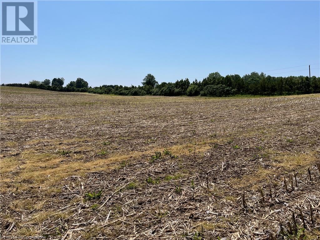 282 West Quarterline N/a Road, Port Rowan, Ontario  N0E 1M0 - Photo 17 - 40738428