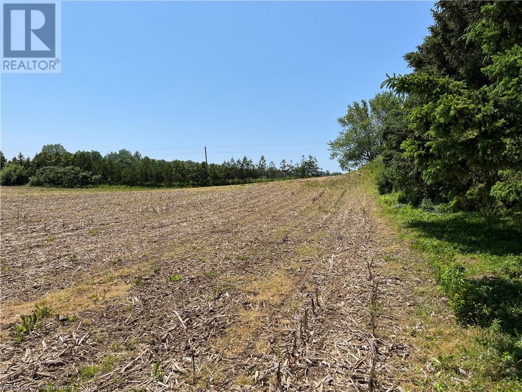 282 West Quarterline N/a Road, Port Rowan, Ontario  N0E 1M0 - Photo 18 - 40738428