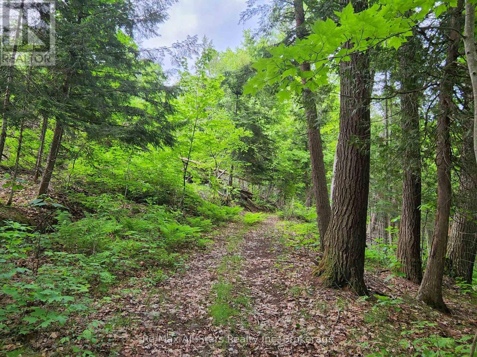 1386 South Portage Road, Lake Of Bays (Franklin), Ontario  P1H 2J6 - Photo 10 - X12212667