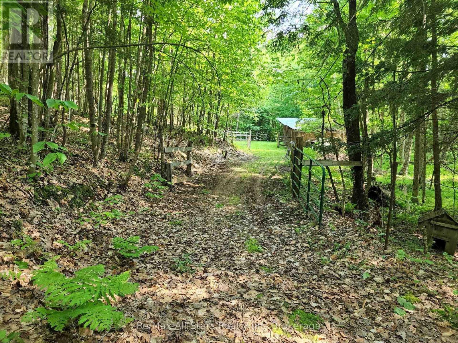 1386 South Portage Road, Lake Of Bays (Franklin), Ontario  P1H 2J6 - Photo 12 - X12212667
