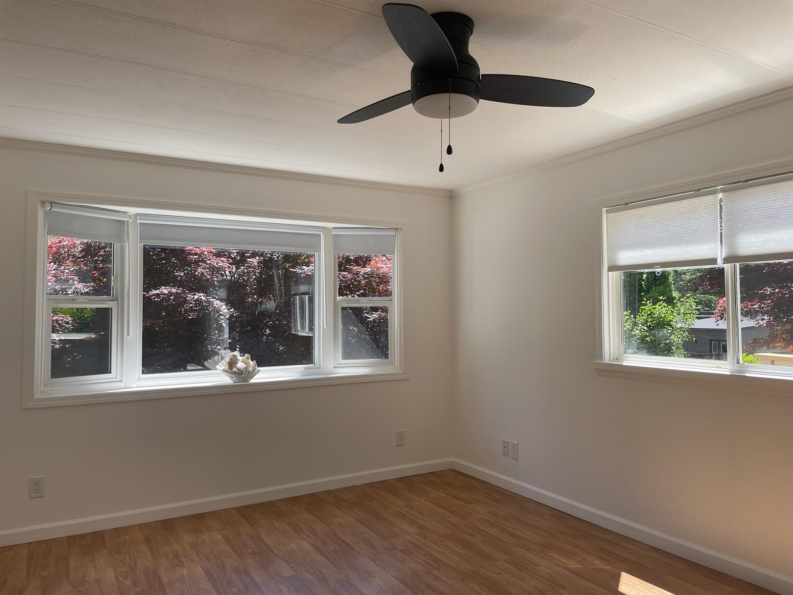 43825 Ryall Road, Mission, British Columbia  V0M 1N0 - Photo 7 - R3012694