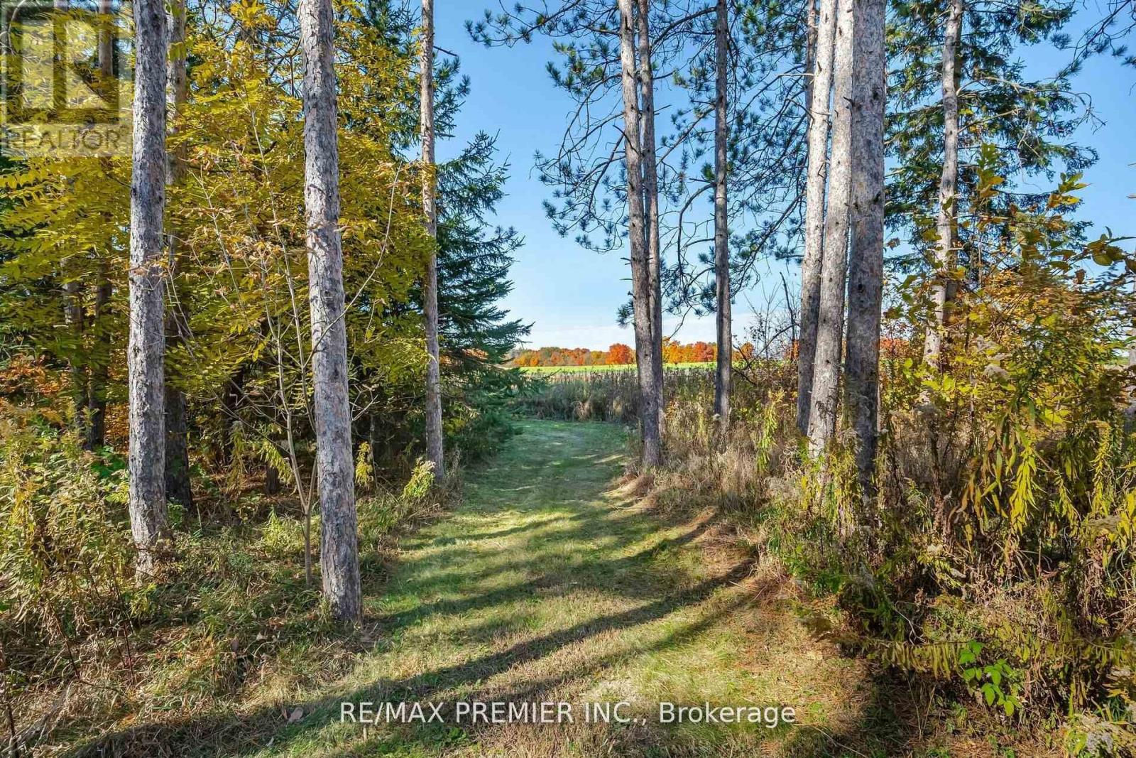 4904 10th Side Road, Essa, Ontario  L0L 2N0 - Photo 26 - N12212410