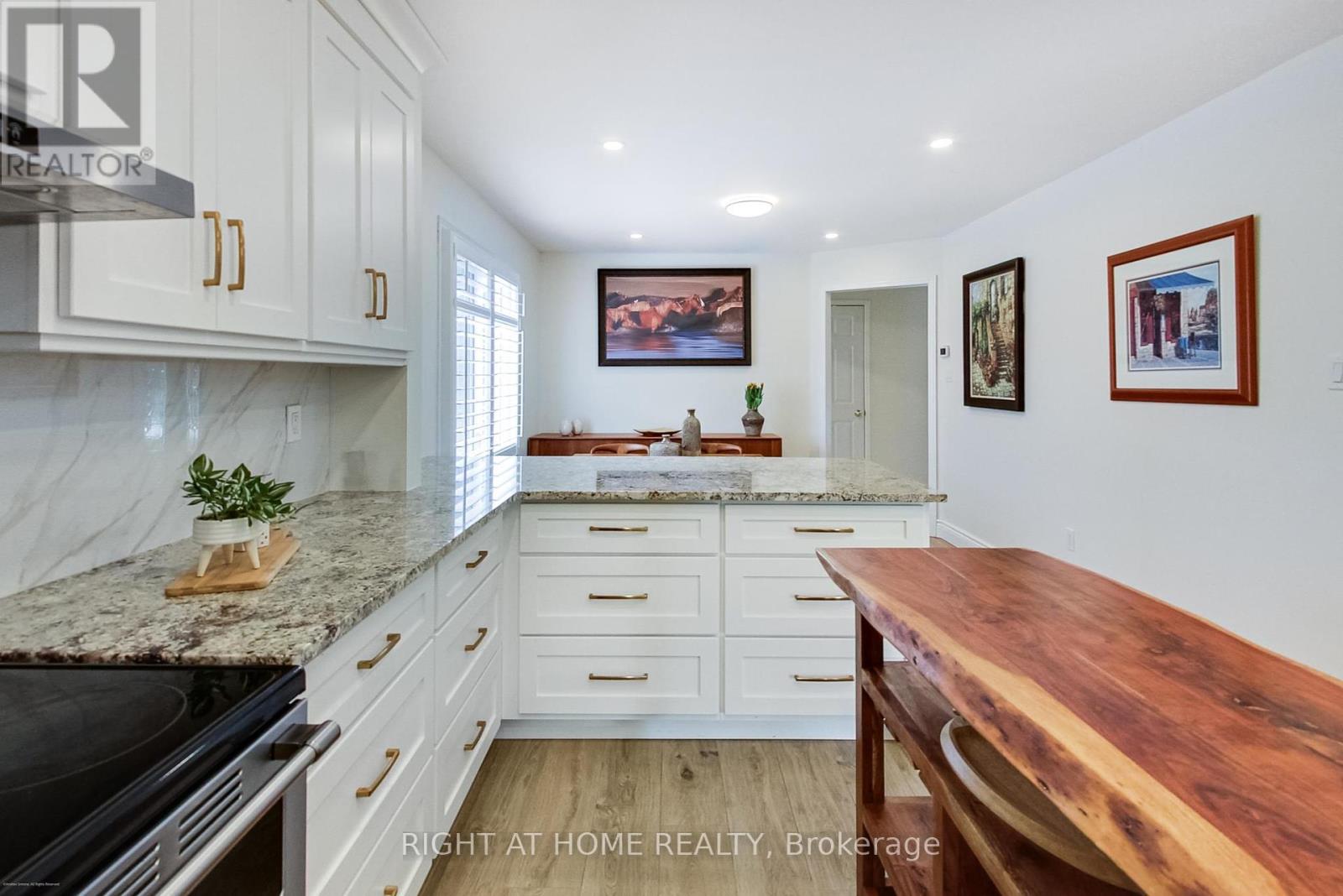 393 Vanden Bergh Boulevard, Newmarket (Bristol-London), Ontario  L3Y 7Z8 - Photo 5 - N12212460