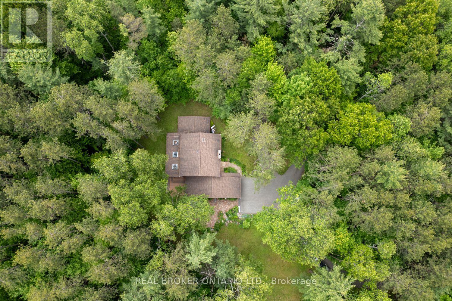 2154 Concession Rd 10, Clarington, Ontario  L0B 1B0 - Photo 4 - E12176923
