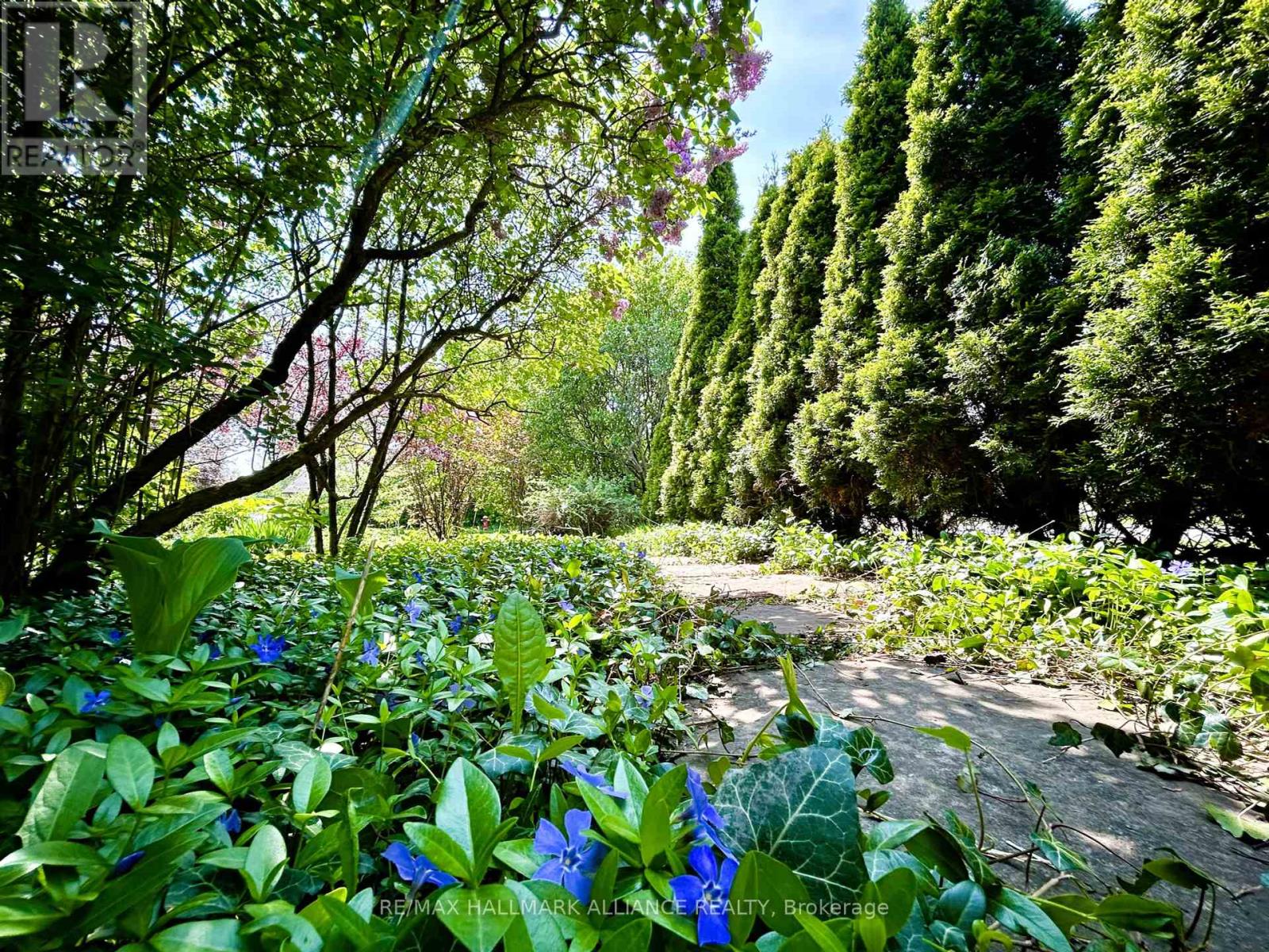 1089 Churchill Avenue, Oakville, Ontario  L6H 2A7 - Photo 41 - W12212382
