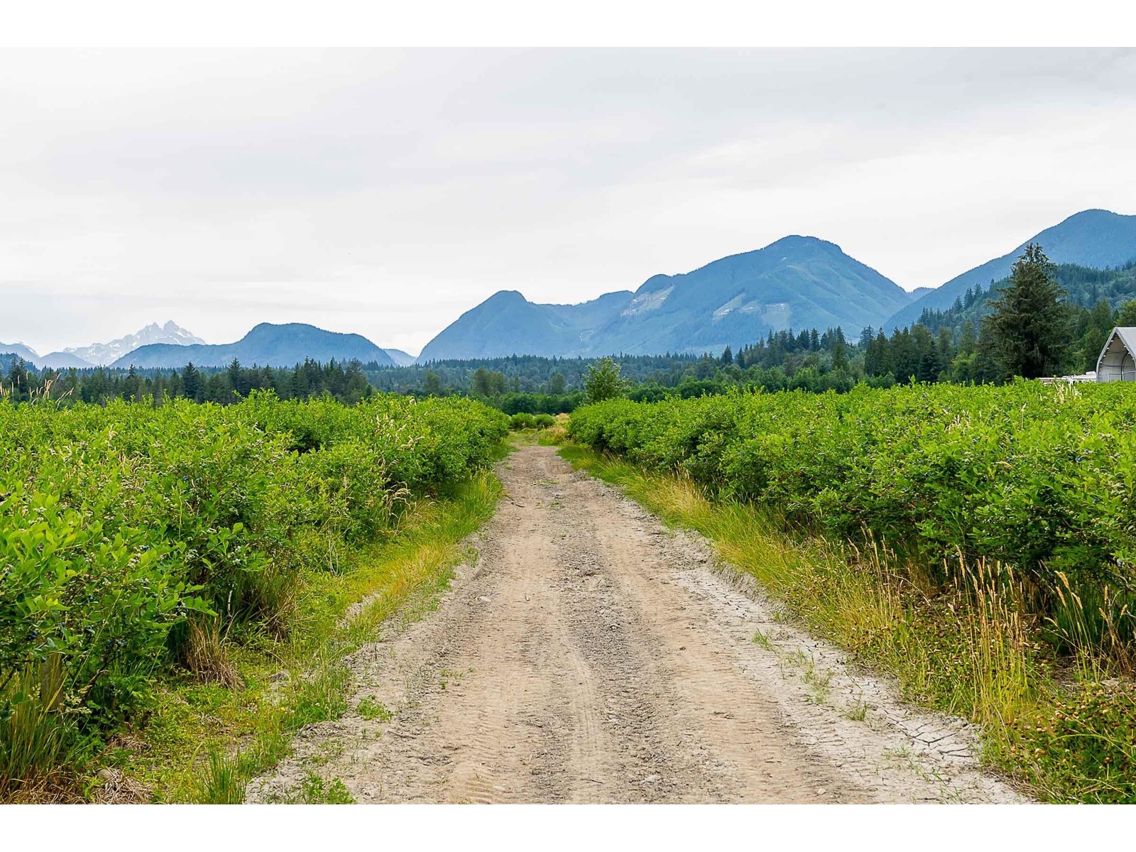 10931 Sylvester Road, Mission, British Columbia  V2V 0B2 - Photo 27 - R3012522