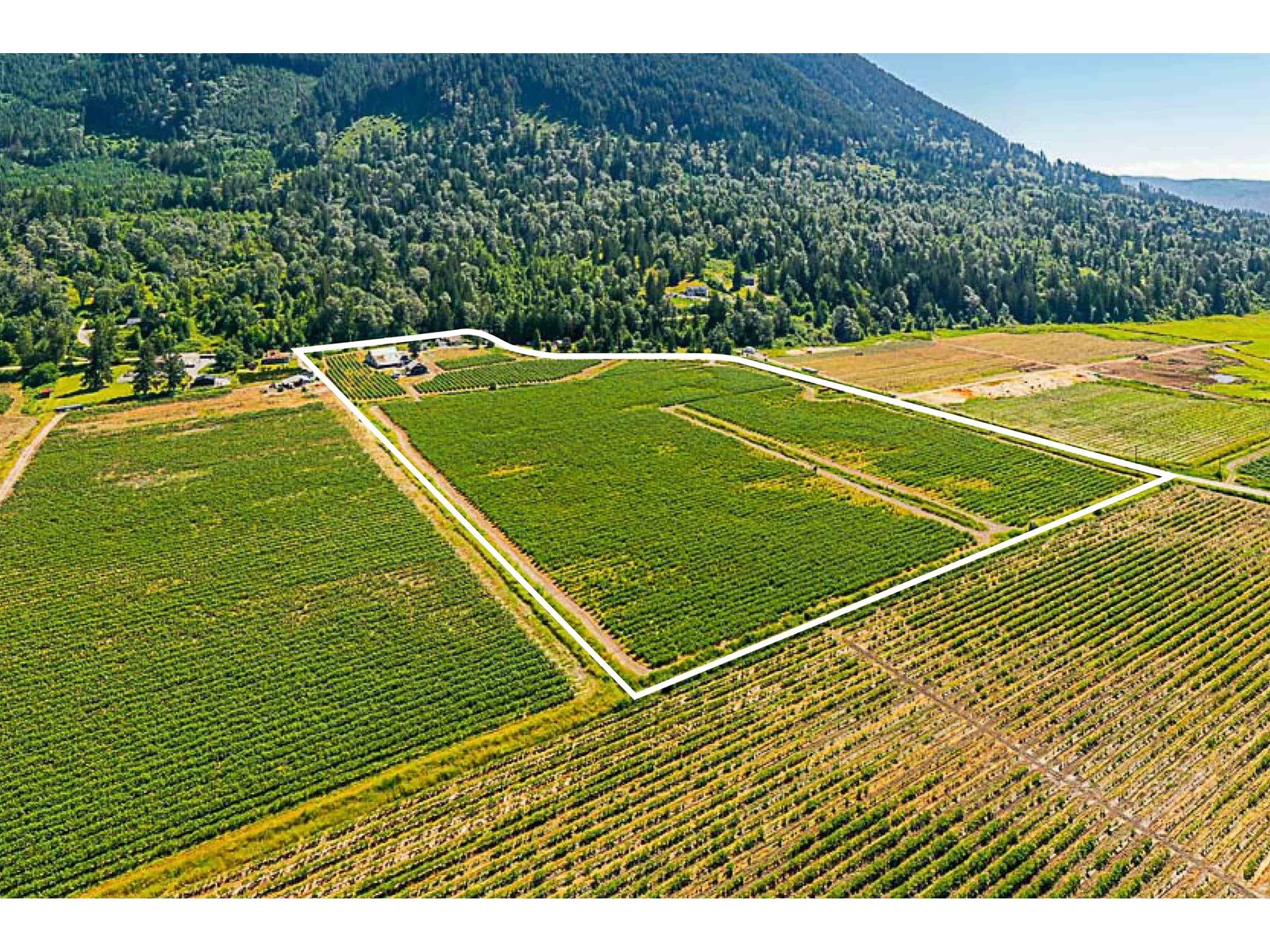 10931 Sylvester Road, Mission, British Columbia  V2V 0B2 - Photo 31 - R3012522