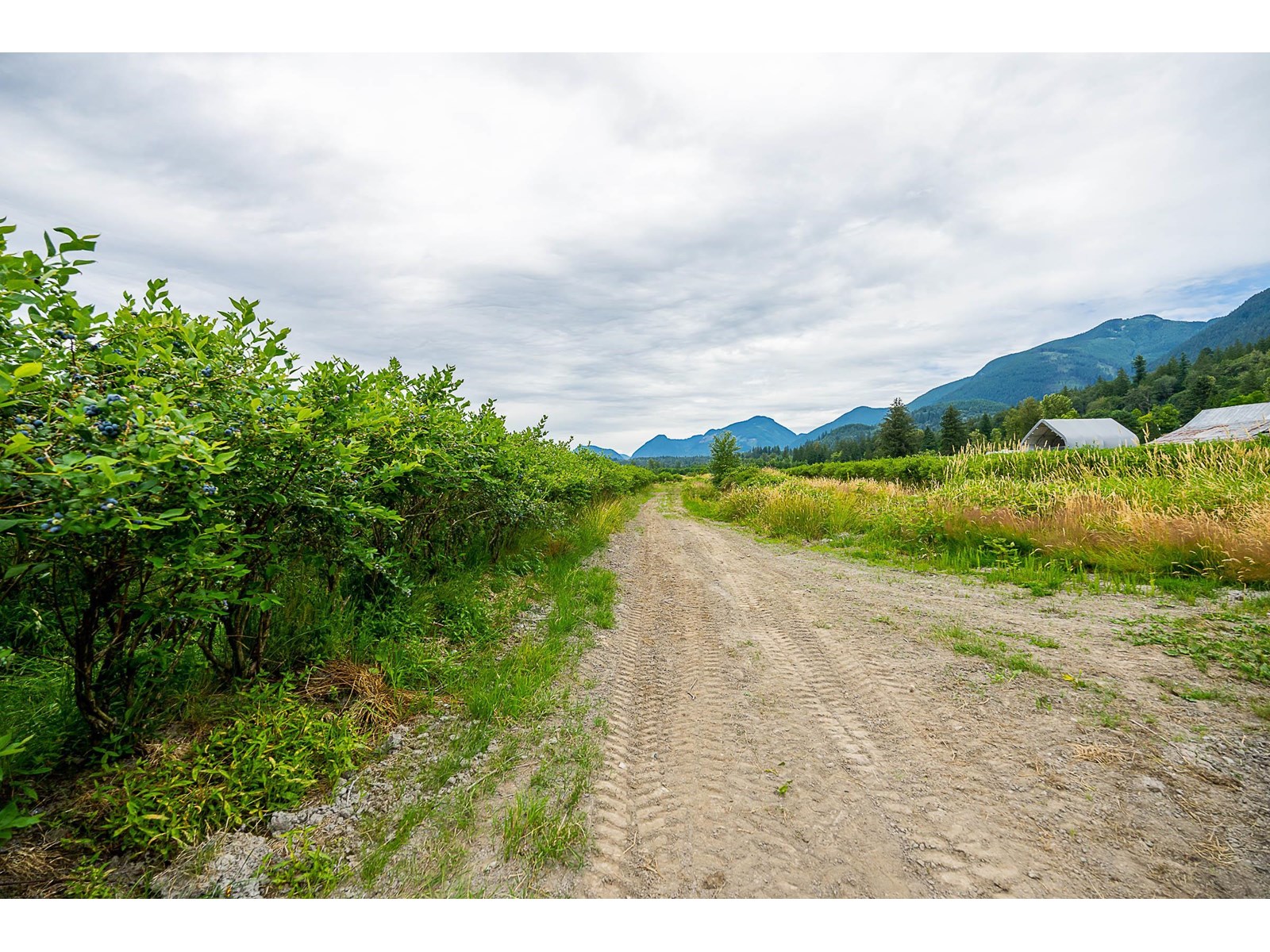 10931 Sylvester Road, Mission, British Columbia  V2V 0B2 - Photo 23 - R3012522
