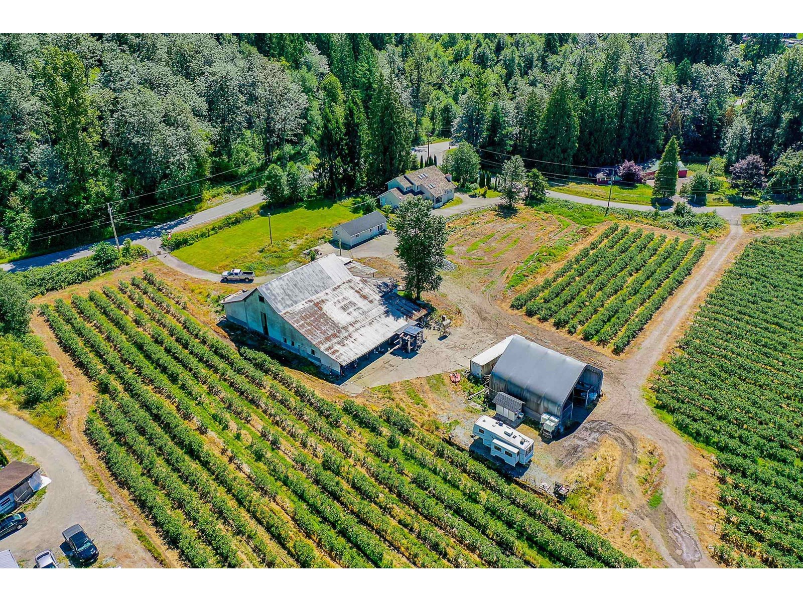 10931 Sylvester Road, Mission, British Columbia  V2V 0B2 - Photo 25 - R3012522