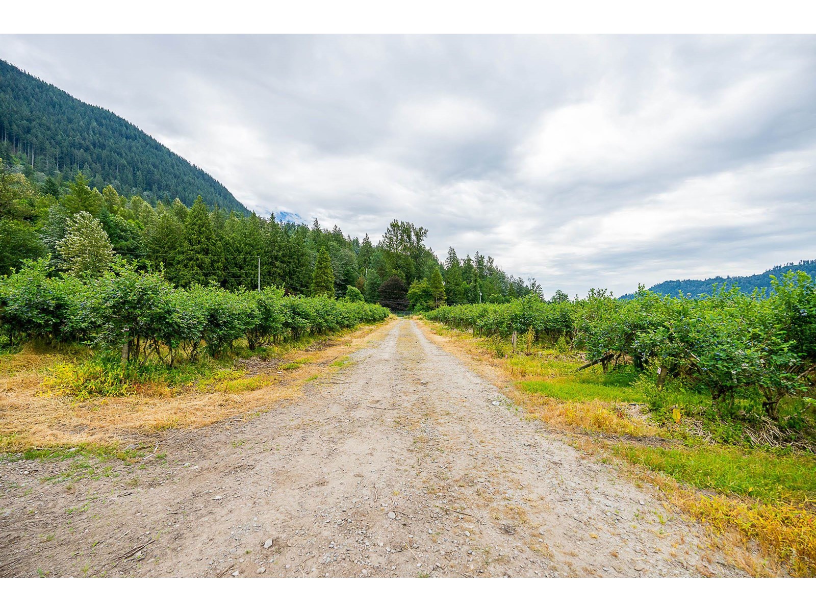 10931 Sylvester Road, Mission, British Columbia  V2V 0B2 - Photo 22 - R3012522