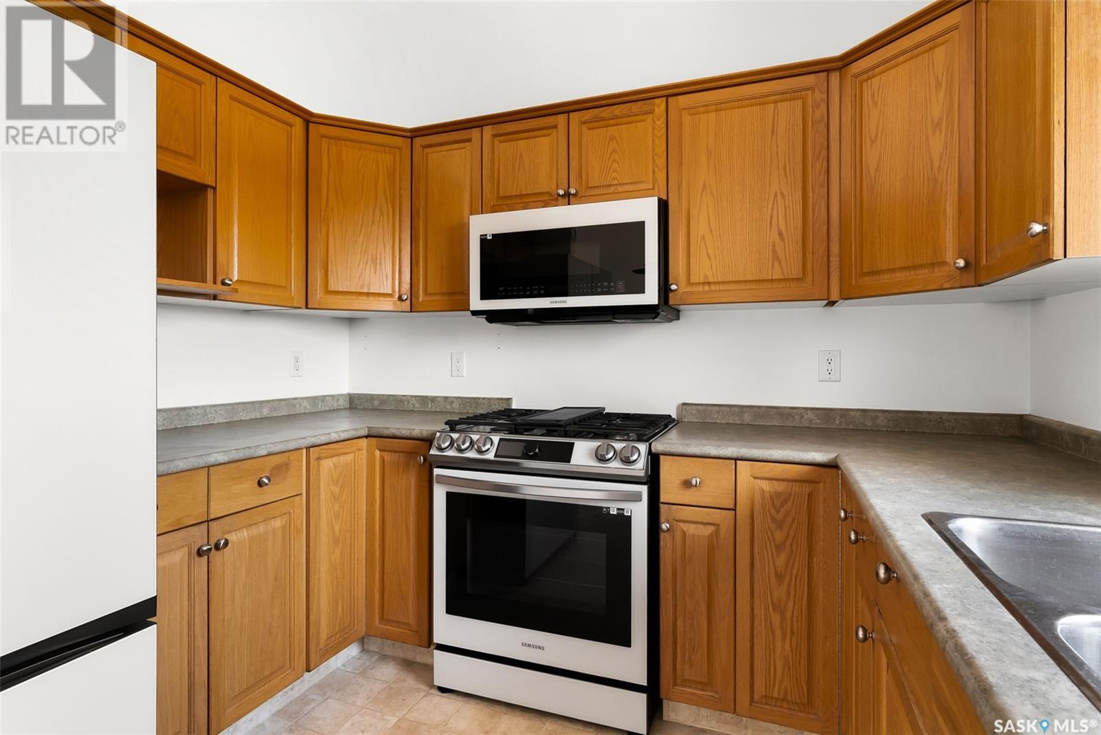 1343 Chatwin Crescent, Regina, Saskatchewan  S4N 7N8 - Photo 10 - SK008919