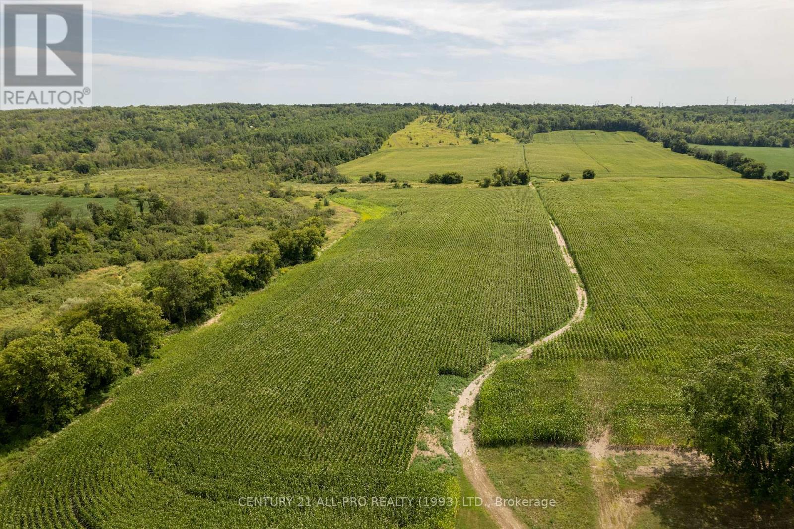 426 Goodfellow Road, Brighton, Ontario  K0K 1R0 - Photo 12 - X12212893