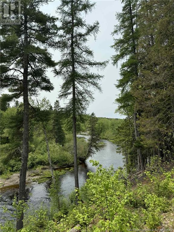 463 Bartholomew Road N, Blackville, New Brunswick  E9B 1K3 - Photo 20 - NB120558