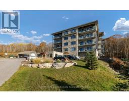 303 - 11B SALT DOCK ROAD, parry sound, Ontario