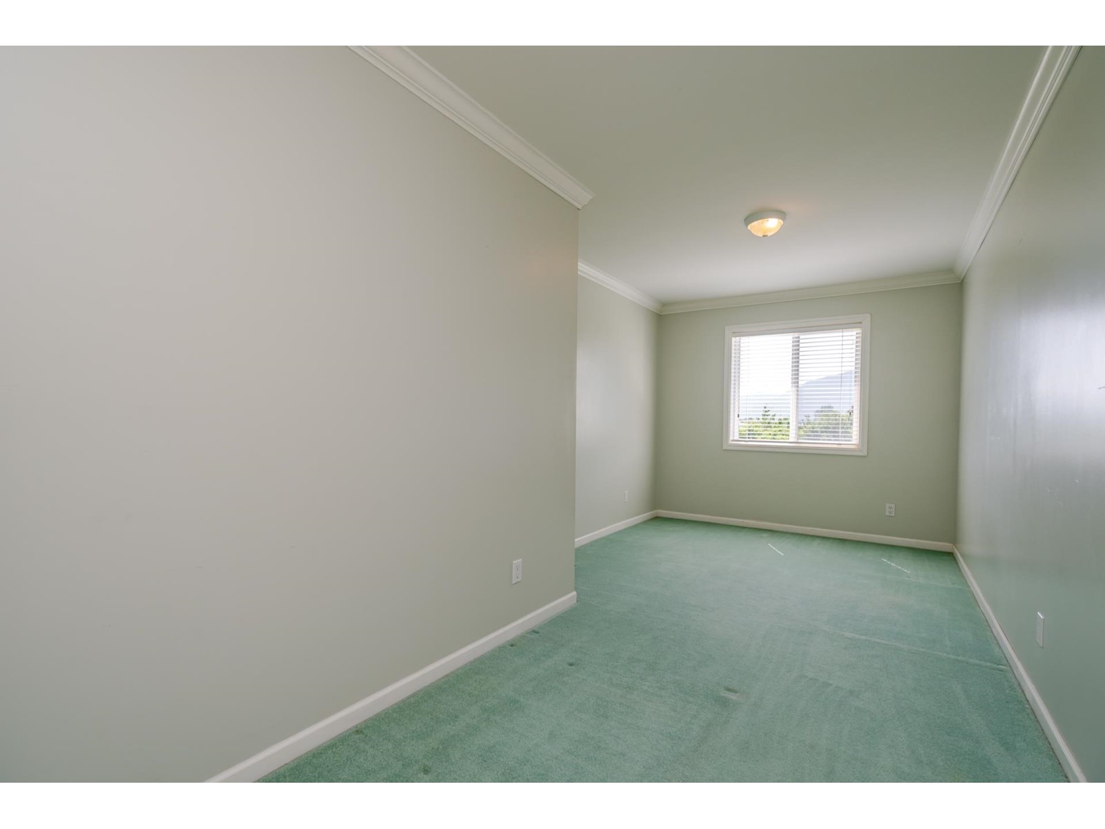 5007 Boundary Road, Abbotsford, British Columbia  V3G 2N4 - Photo 23 - R3013587