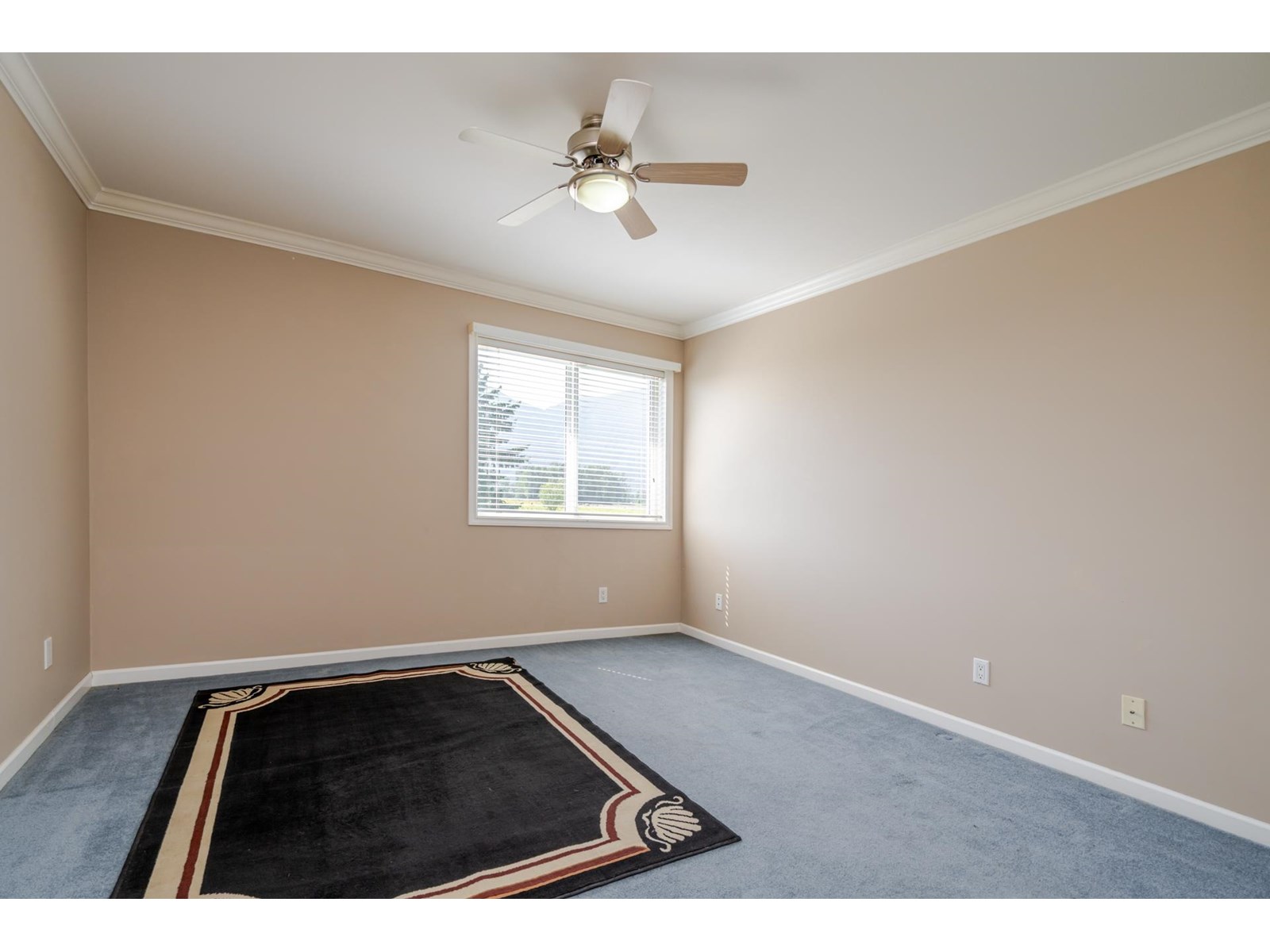 5007 Boundary Road, Abbotsford, British Columbia  V3G 2N4 - Photo 24 - R3013587