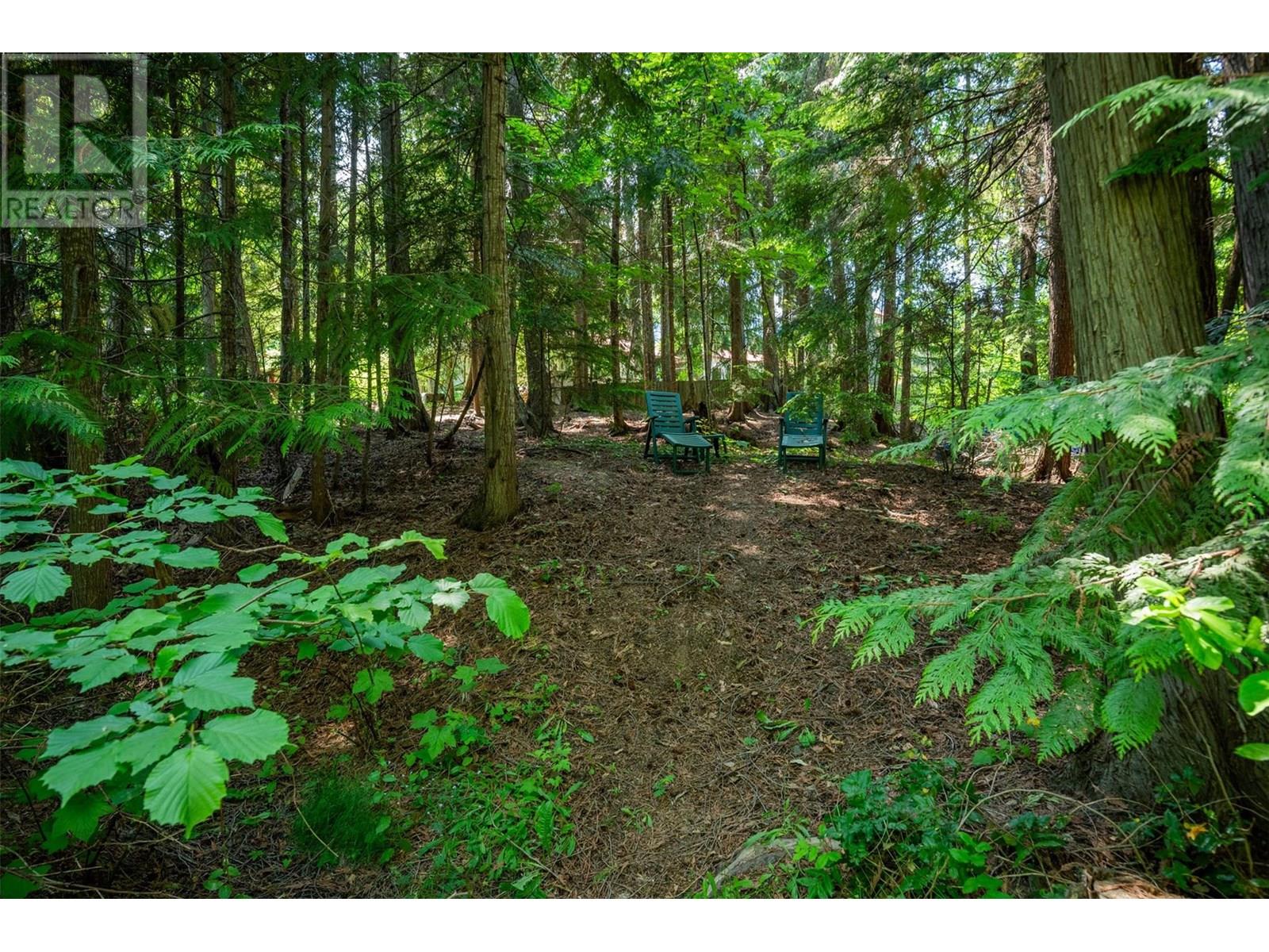 Lot 42 Carol Street, Kaslo, British Columbia  V0G 1M0 - Photo 25 - 10351495