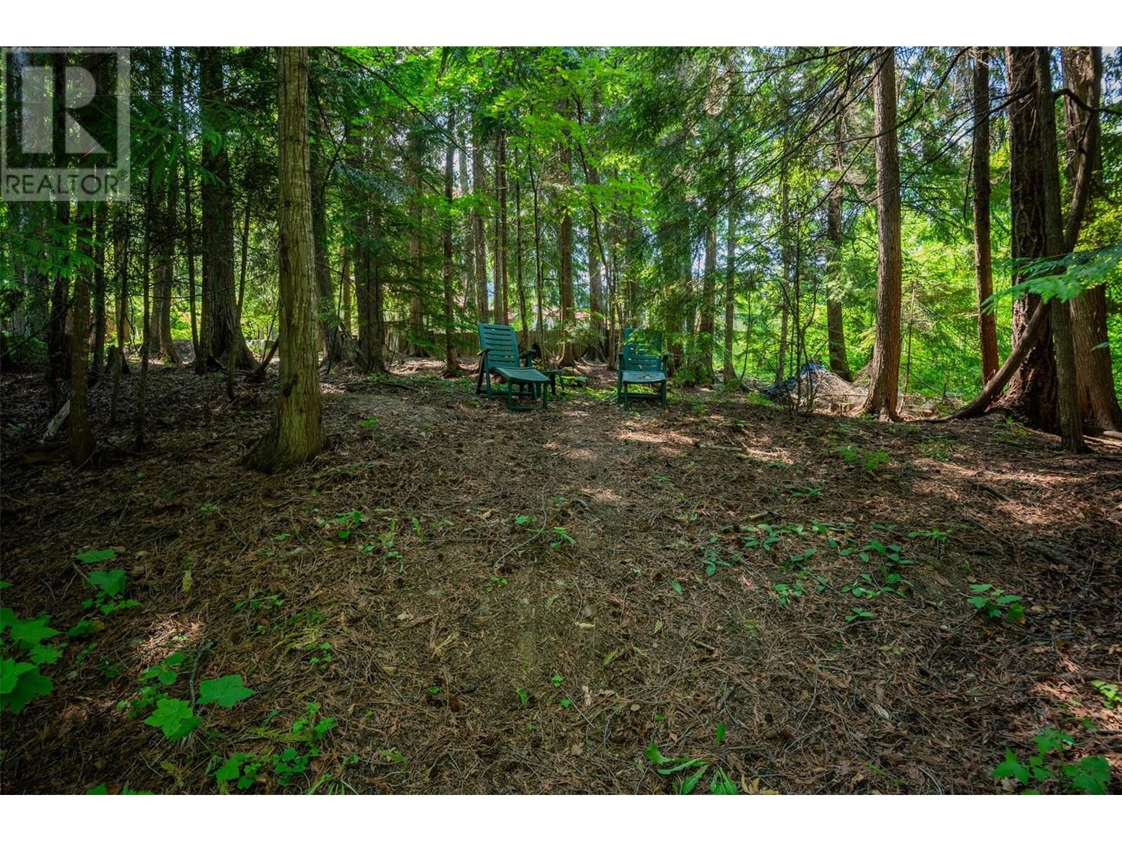 Lot 42 Carol Street, Kaslo, British Columbia  V0G 1M0 - Photo 26 - 10351495