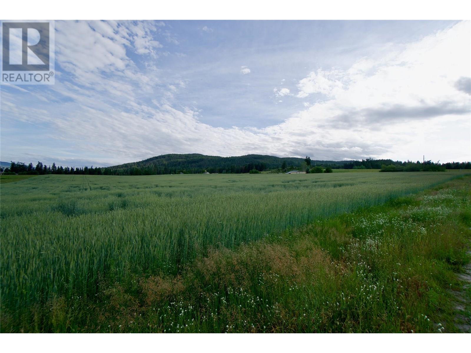 000 Hallam Road, Armstrong, British Columbia  V0E 1B0 - Photo 27 - 10351649