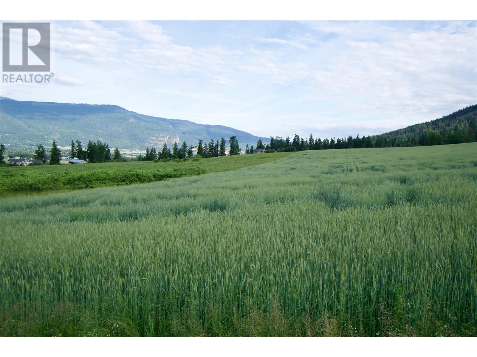 000 Hallam Road, Armstrong, British Columbia  V0E 1B0 - Photo 6 - 10351649