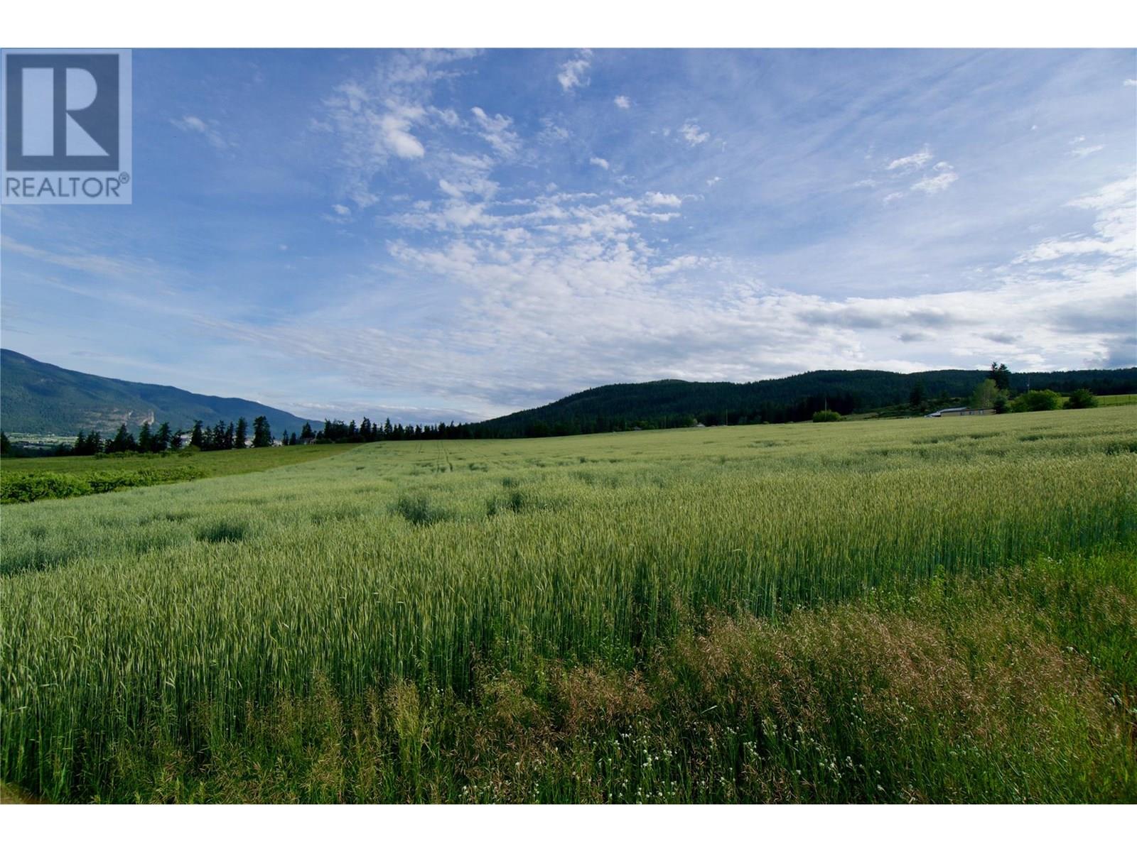 000 Hallam Road, Armstrong, British Columbia  V0E 1B0 - Photo 29 - 10351649