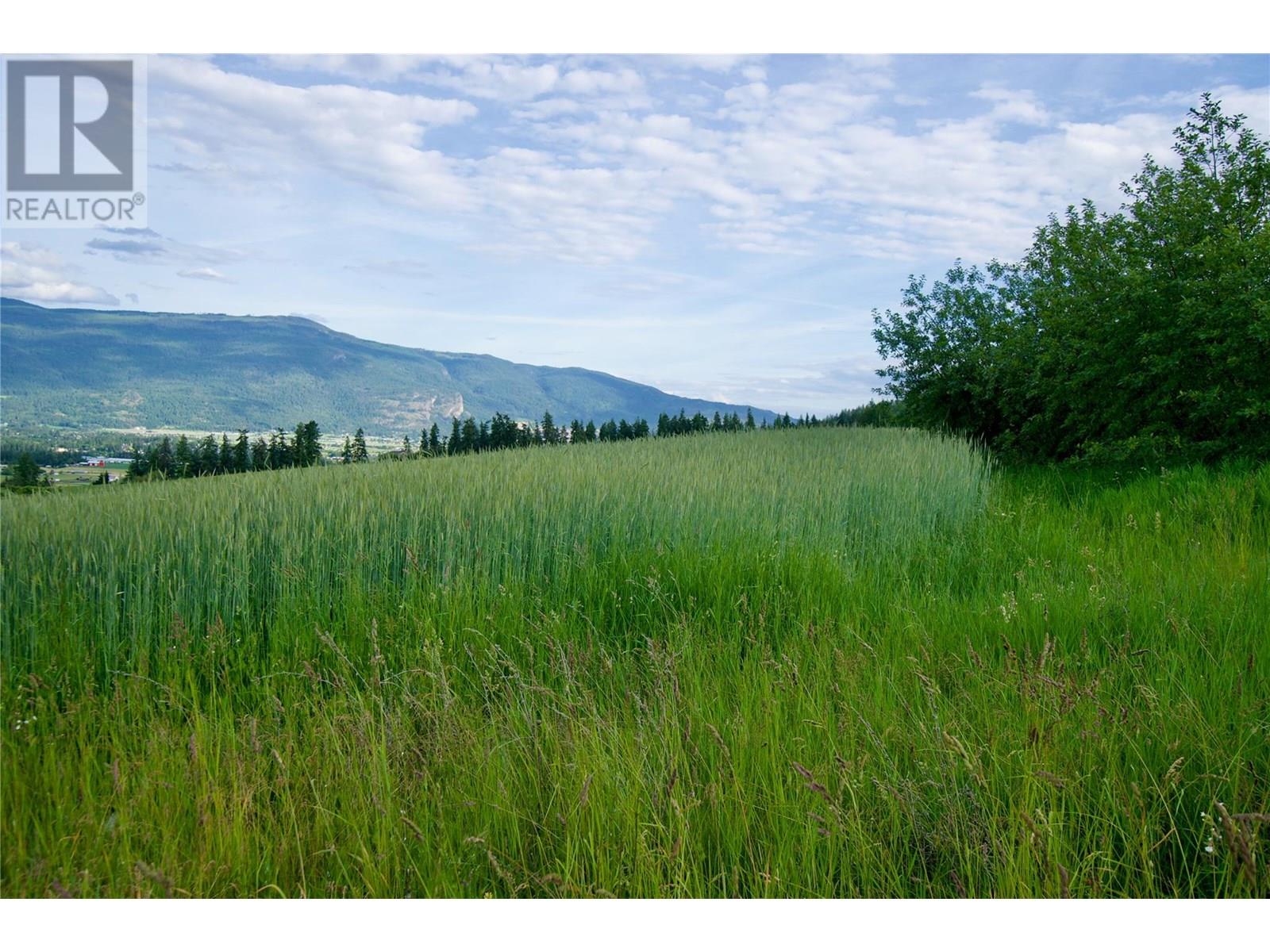 000 Hallam Road, Armstrong, British Columbia  V0E 1B0 - Photo 22 - 10351649