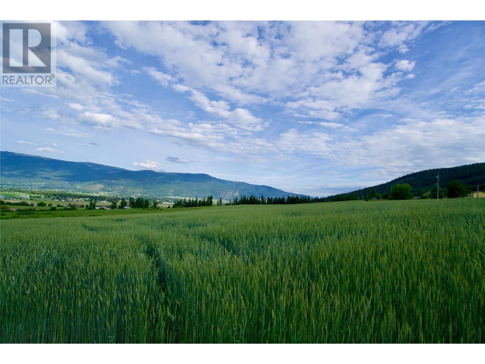000 Hallam Road, Armstrong, British Columbia  V0E 1B0 - Photo 7 - 10351649